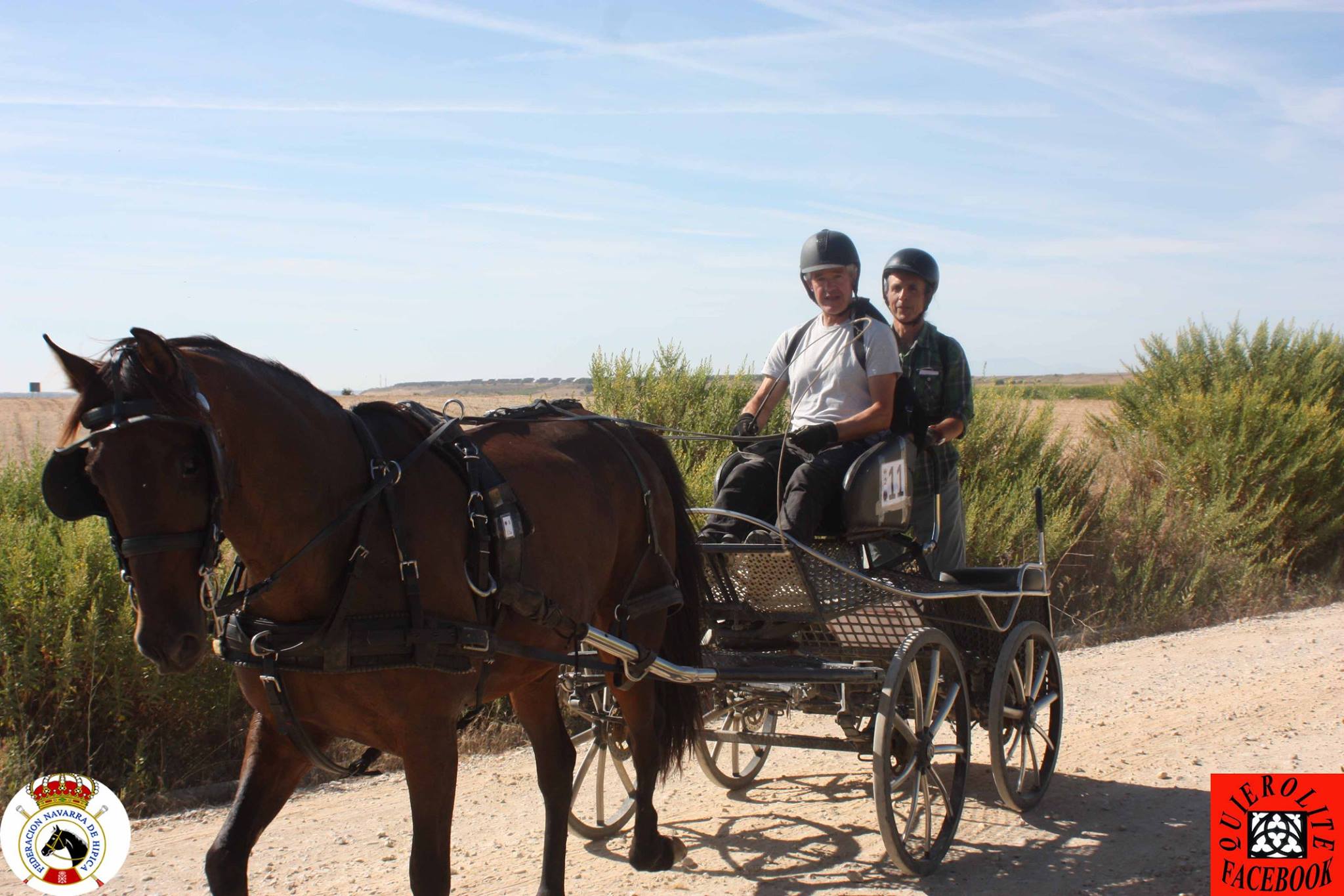 Olite acogió el Campeonato Navarro de Enganches